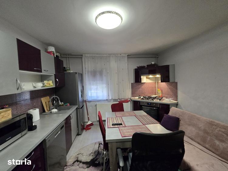 Apartament 2 camere, pETFRIENDLY,centrala proprie, garaj, Take Ionescu - 4