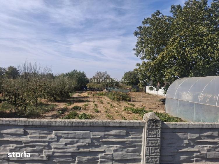 TEREN DE VANZARE IN CARCEA 1.710 MP - Carcea,