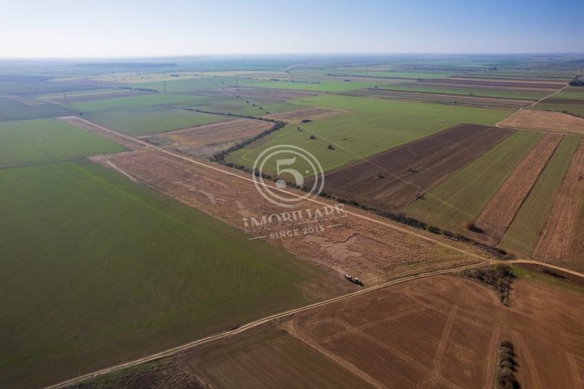 Teren Construcții intravilan de 1118 mp, în Periș