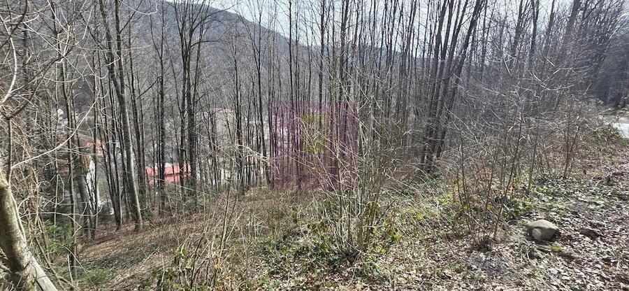 Teren de 338 mp, în Sud