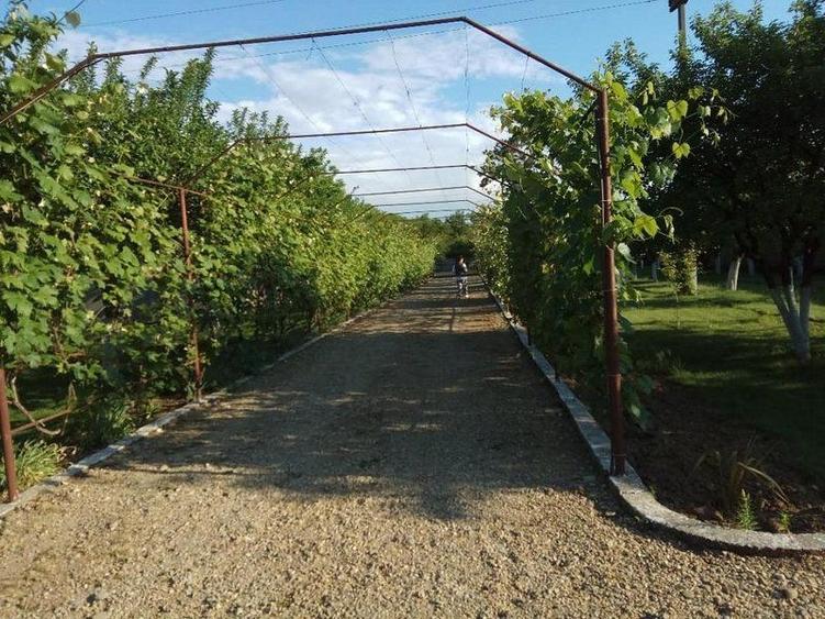 Casă individuală cu 5 camere cu Canalizare în Ciolpani