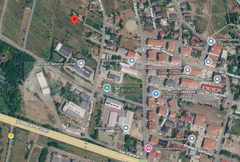 Teren Construcții intravilan de 2800 mp, în Uricani