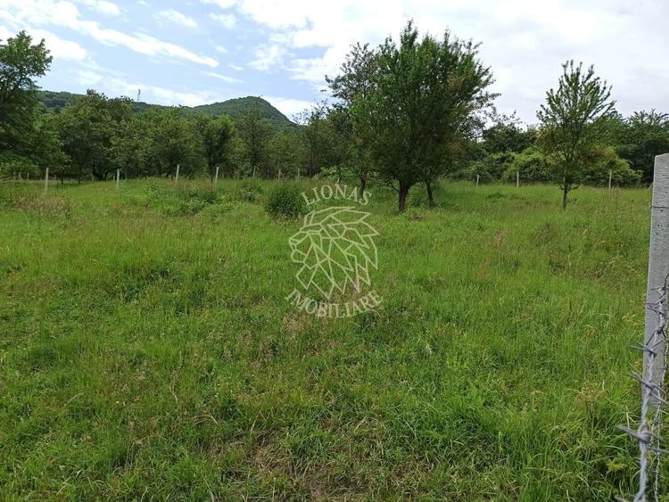 Teren agricol extravilan de 1000 mp, în Nord