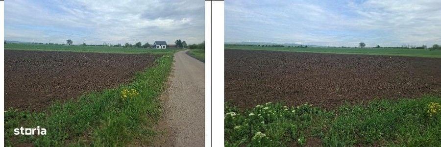 Teren de 10000 mp, în Valea Râmnicului