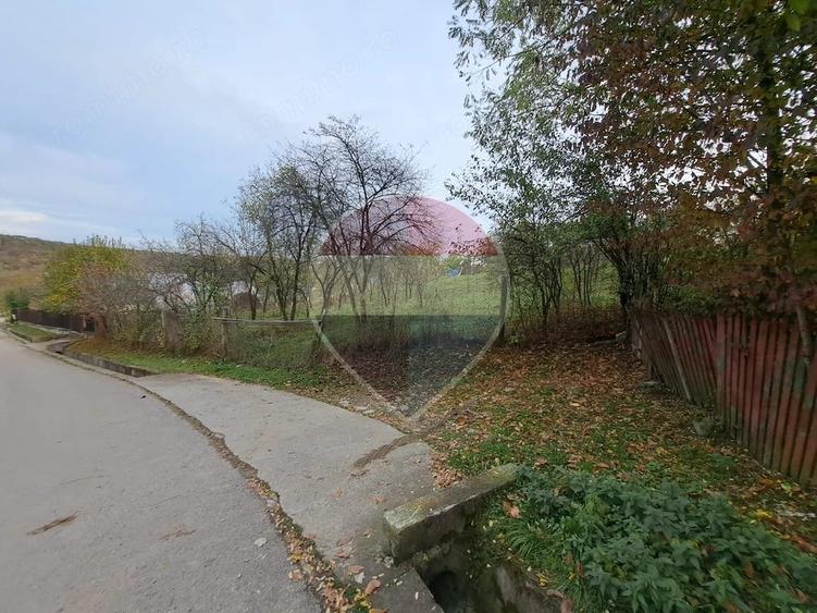 Teren de 3500 mp, în Poiana