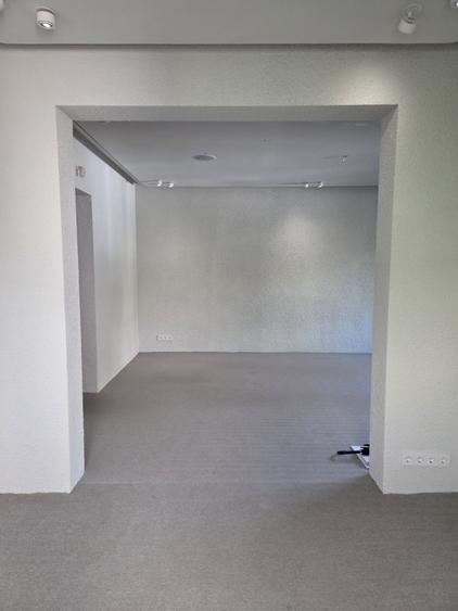 Duplex cu 7 camere cu Teren 170 Mp în Dorobanți