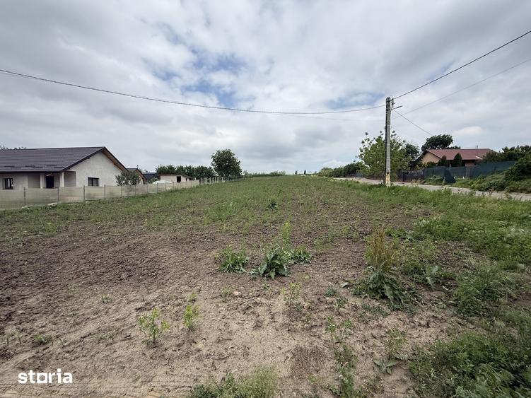 Teren 5000mp, front stradal 200ml, Miroslava Proselnici - 10