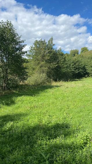 Teren de 4000 mp, în Beznea