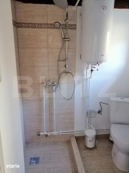 Casă cu 5 camere cu Teren 48000 Mp în Vărădia de Mureș
