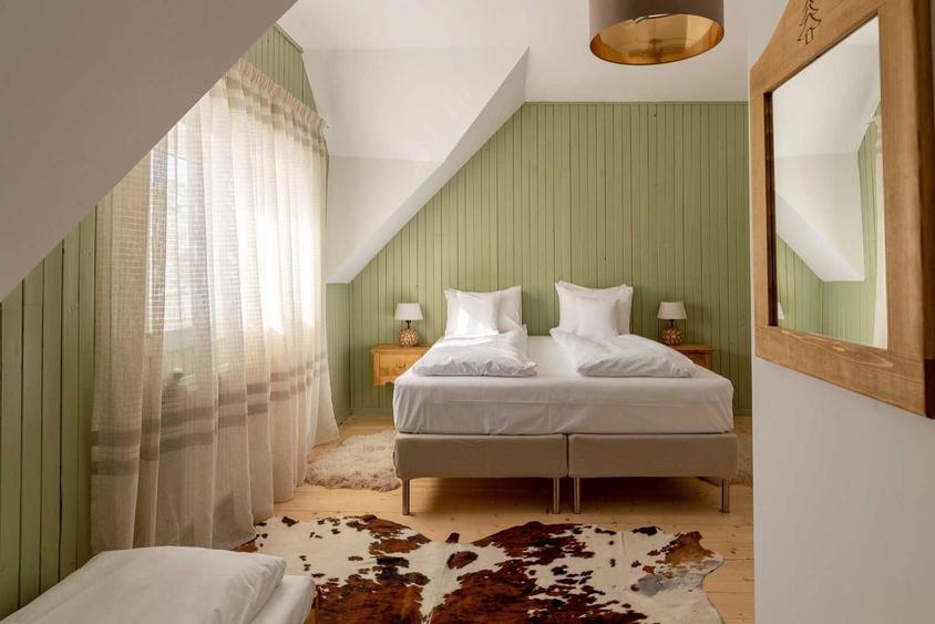 Cabana, pensiune, casa de vacanta, afacere la cheie- Belis - 6
