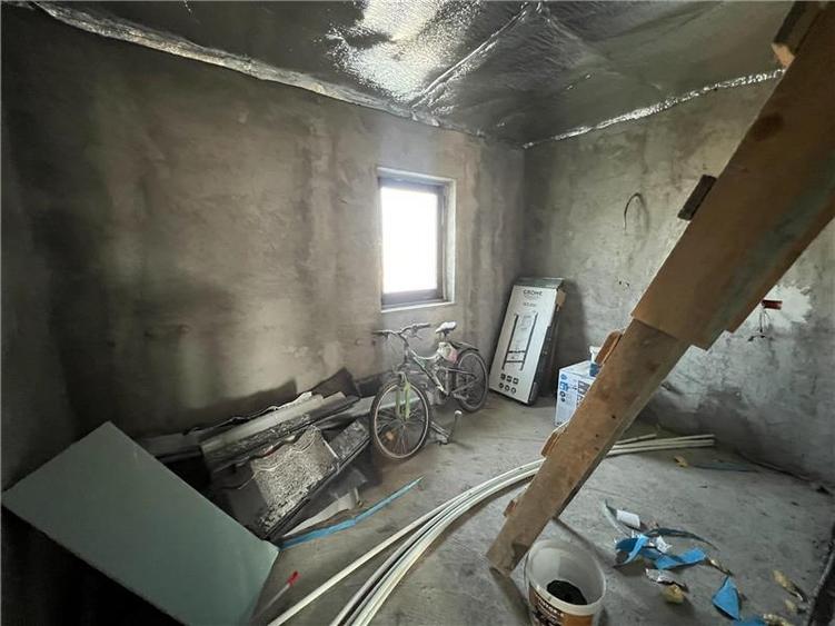 Casa la rosu, de vanzare in Lunca Cetatuii - 10
