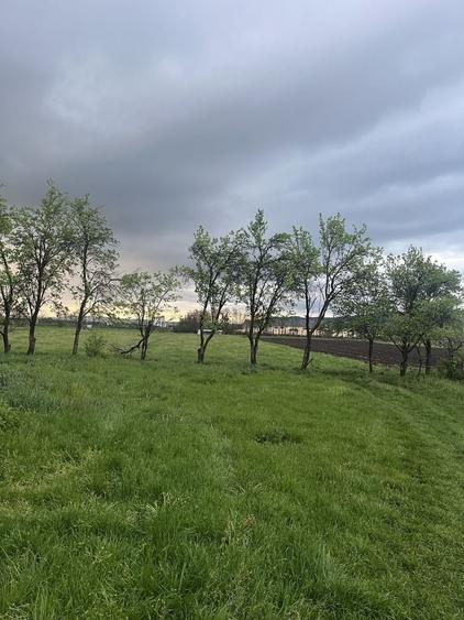 Teren de 6000 mp, în Bonț