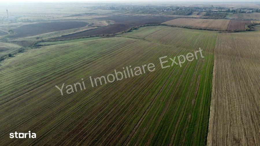 Teren de 10000 mp, în Căteasca