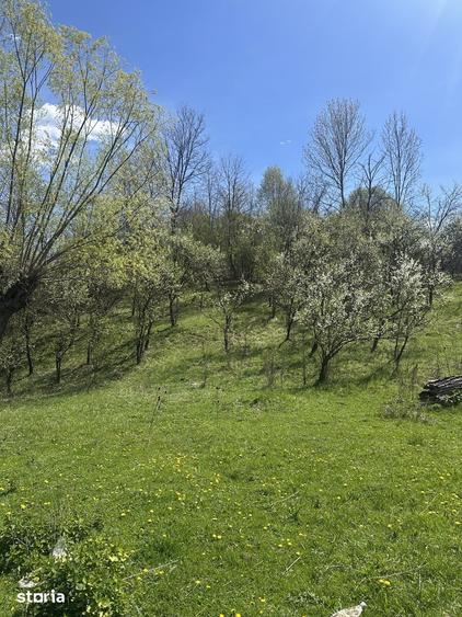 Spațiu comercial, de 2,035 mp, în Provița de Jos
