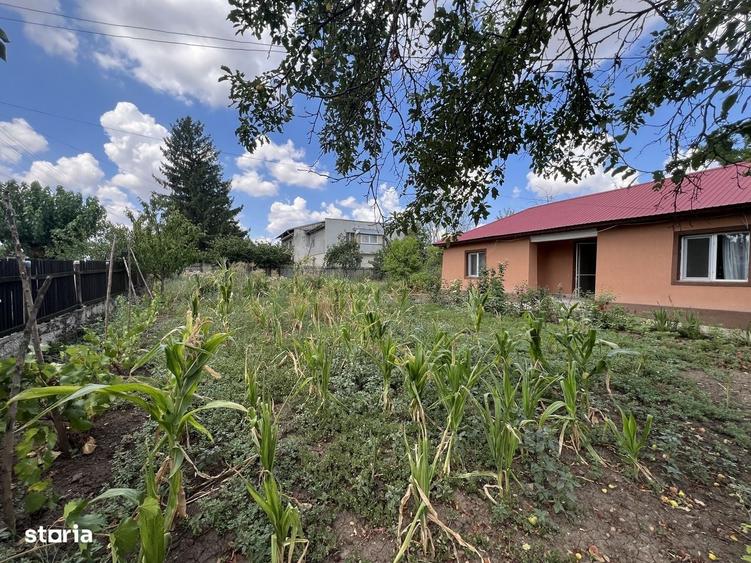 Casă cu 4 camere în Valea Bujorului