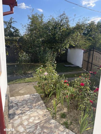Casă cu 3 camere cu Teren 2300 Mp în Central
