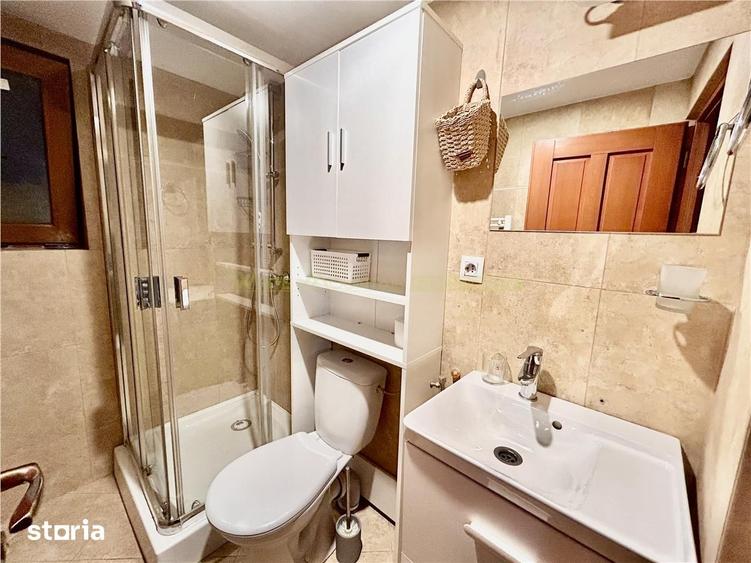 Vila spatioasa de inchiriat 11 camere Centrul Civic, Brasov | Idea - 8