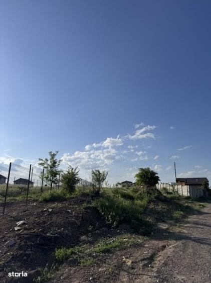 Teren Construcții intravilan de 1200 mp, în Brănești