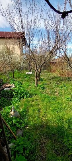 Casă cu 2 camere în Central