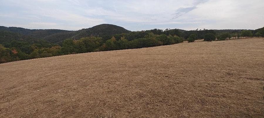 Teren de 35400 mp, în Balta