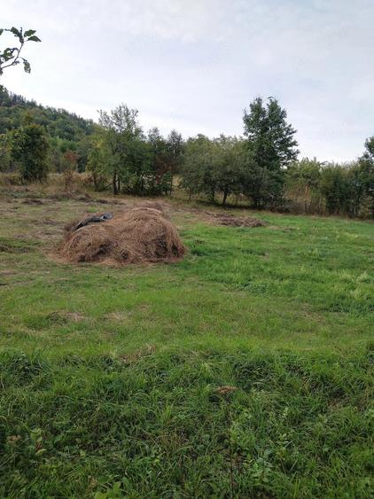 Casă cu Teren 15000 Mp în Bisoca