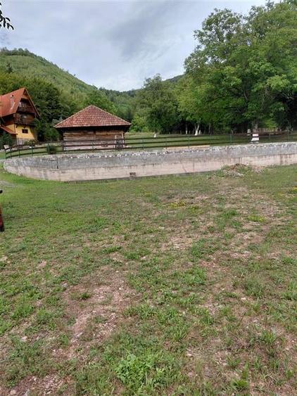 Teren Construcții intravilan de 9600 mp, în Bulz