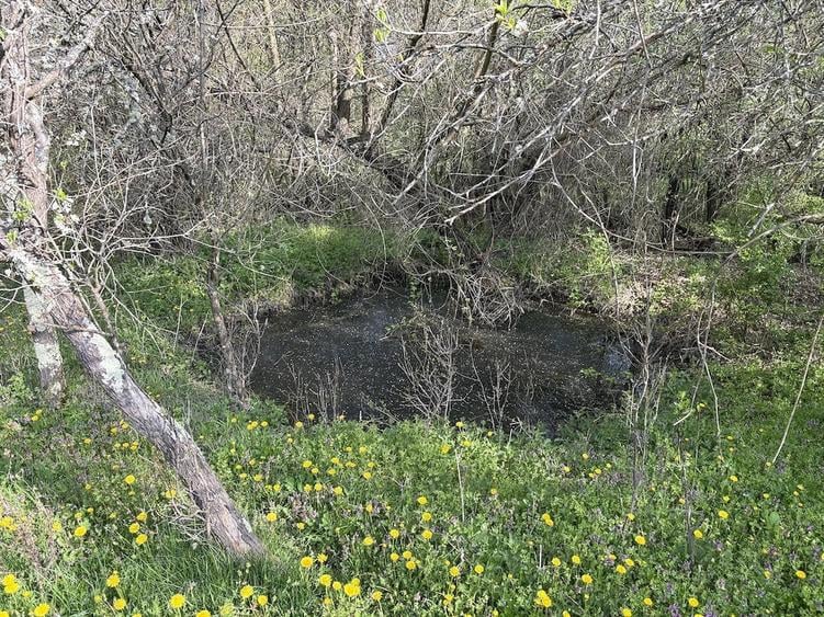 Teren de 5200 mp, în Măncioiu