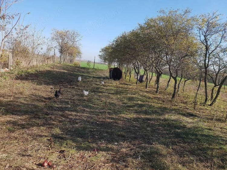 Casă cu Teren 32 Mp în Central