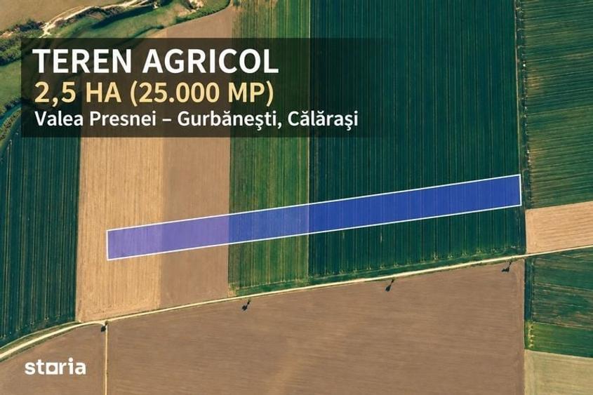 Vand teren agricol 2.5 ha in Calarasi - 1