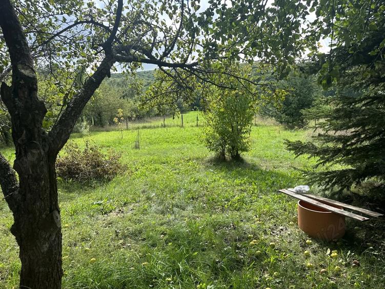 Casă cu 2 camere în Central