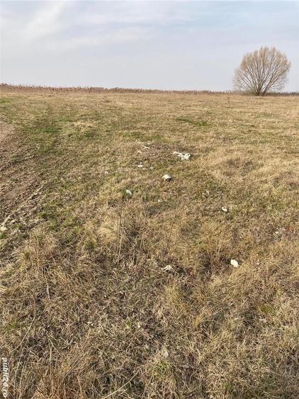 Teren de 1074 mp, în Podari