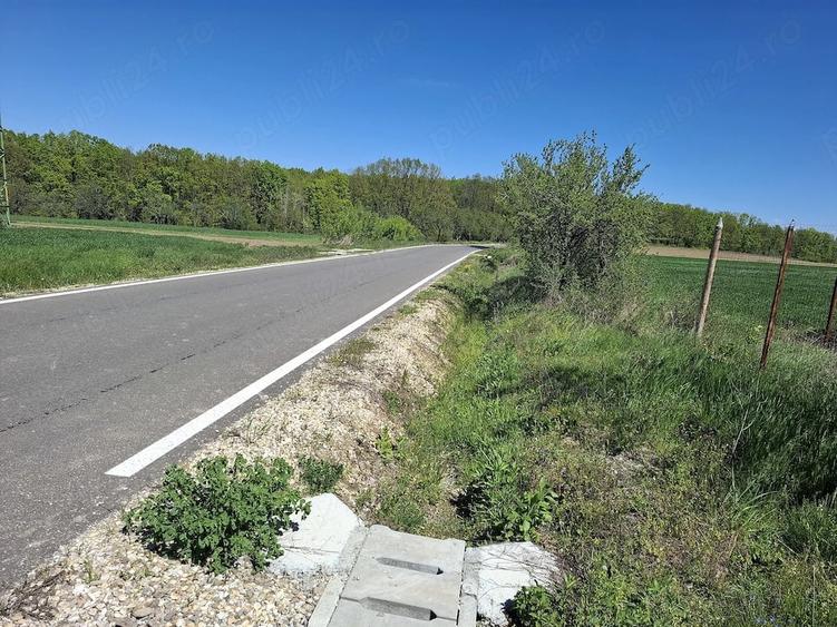 Teren de 4300 mp, în Vedea