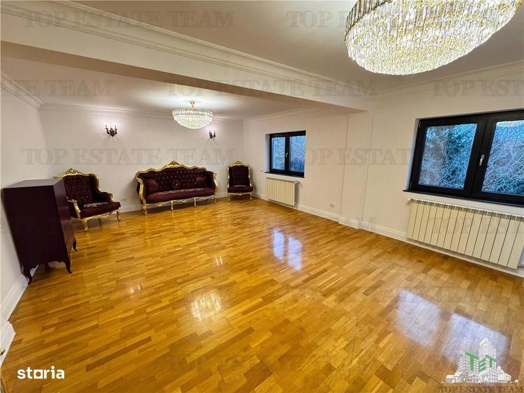 Vila pretabila rezidentaoffice Iancu Nicolae - 15
