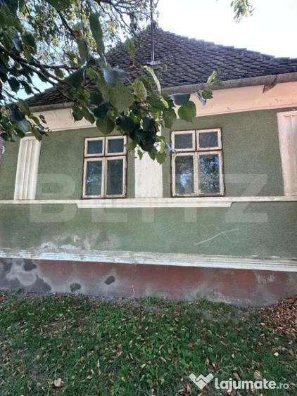 Casa saseasca de vanzare, curte, gradina, teren 3000 mp - Ji - 14