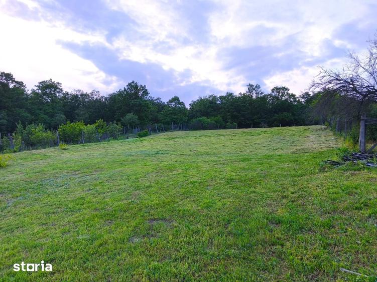 Teren intravilan de vanzare, 2000 mp, deal, padure - 6