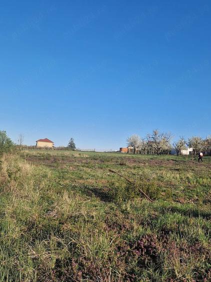 Teren de 3100 mp, în Paleu