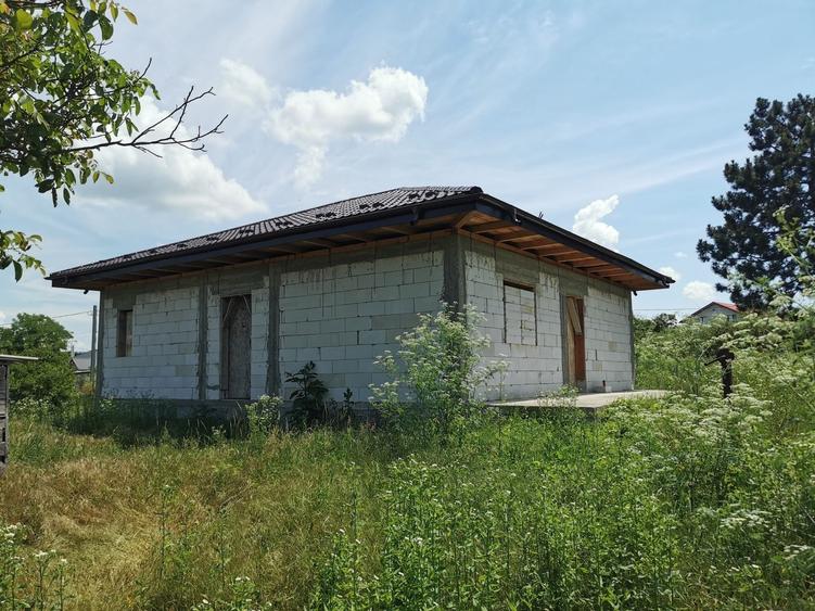 Casă cu 3 camere în Alexandru cel Bun