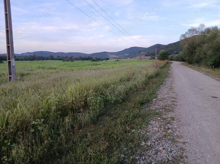 Teren de 30000 mp, în Lupoaia