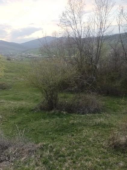 Teren de 2600 mp, în Izvoarele