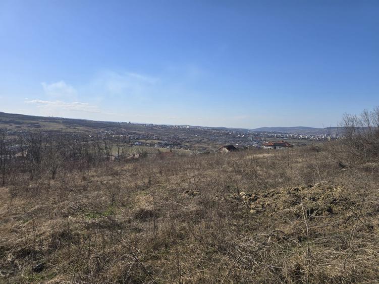 Teren Construcții intravilan de 2900 mp, în Borhanci