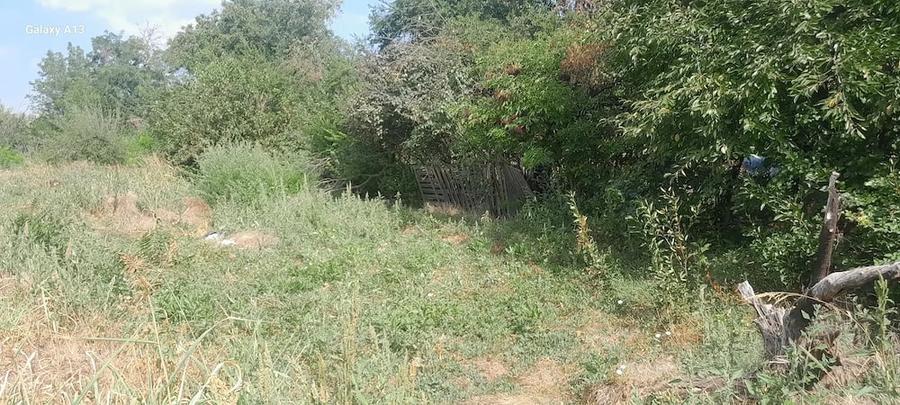 Casă cu Teren 1700 Mp în Roșiori