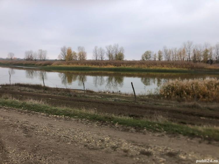 Teren de 328 mp, în Vidra