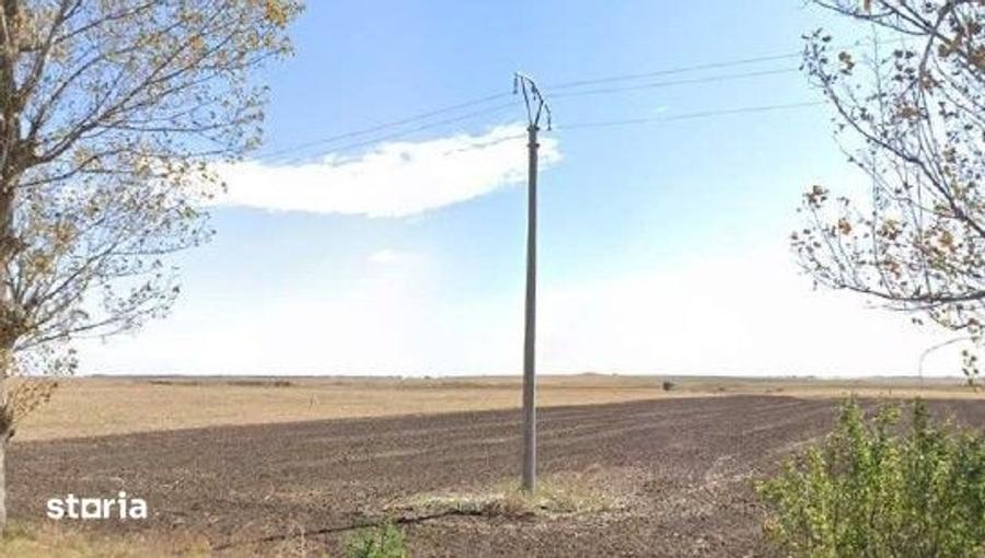 Teren de 16700 mp, în Amaru