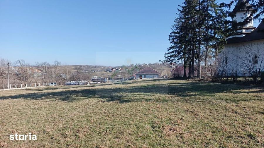 Teren de 4700 mp, în Brusturi