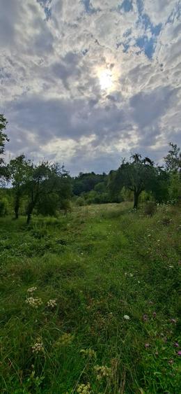 Teren de 10000 mp, în Foleștii de Jos