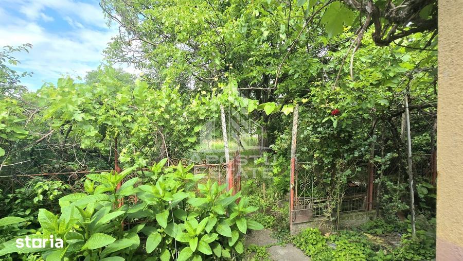 Casă cu 3 camere nedecomandat cu Teren 698 Mp în Pârneava