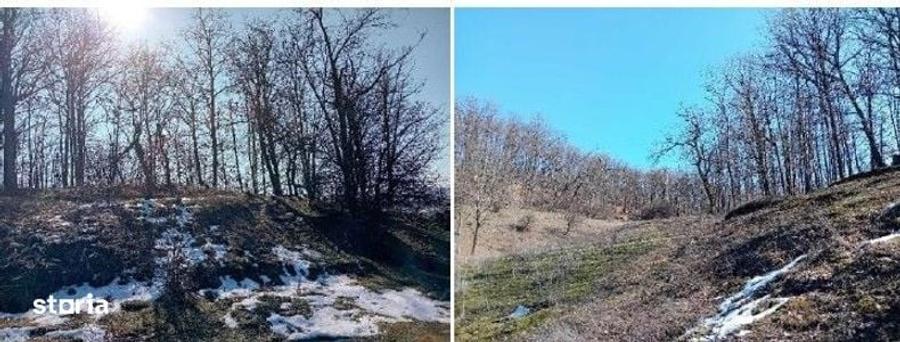 Teren de 140670 mp, în Lapoș