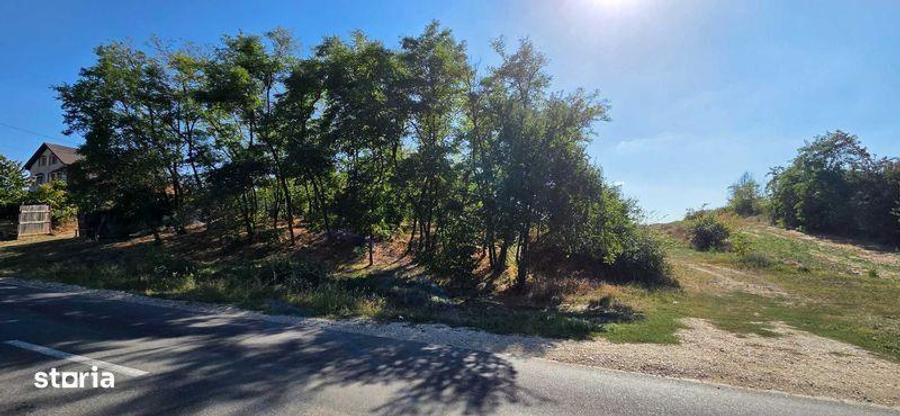 Teren de 5500 mp, în Căteasca