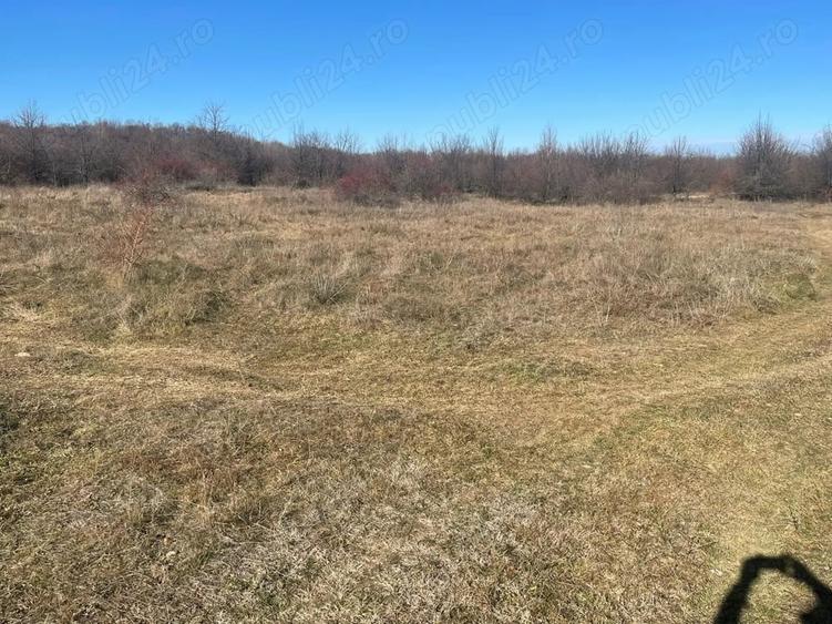 Teren de 5300 mp, în Merișani