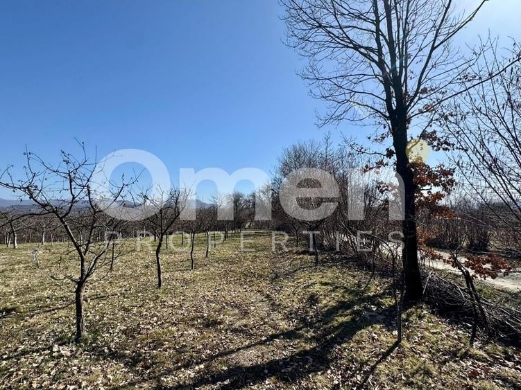 Teren agricol intravilan de 5800 mp, în Berința
